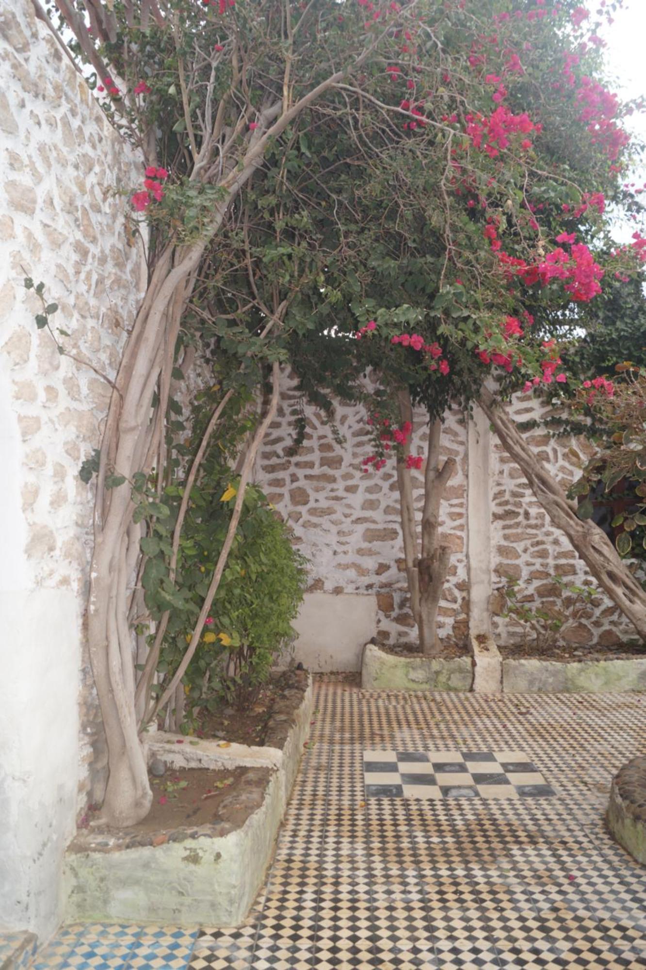 Hotel Sidi Kaouki Perla Exterior foto