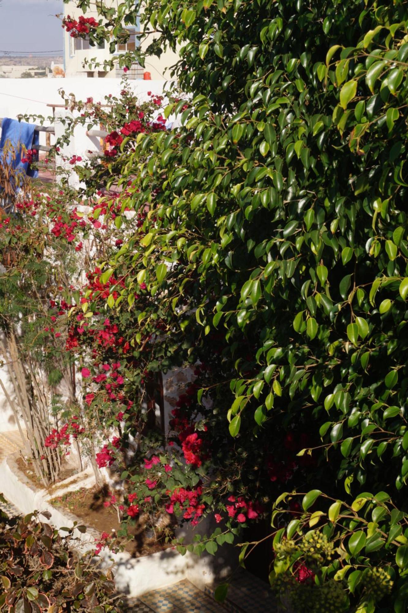 Hotel Sidi Kaouki Perla Exterior foto